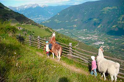 Familienwanderung mit Lamas