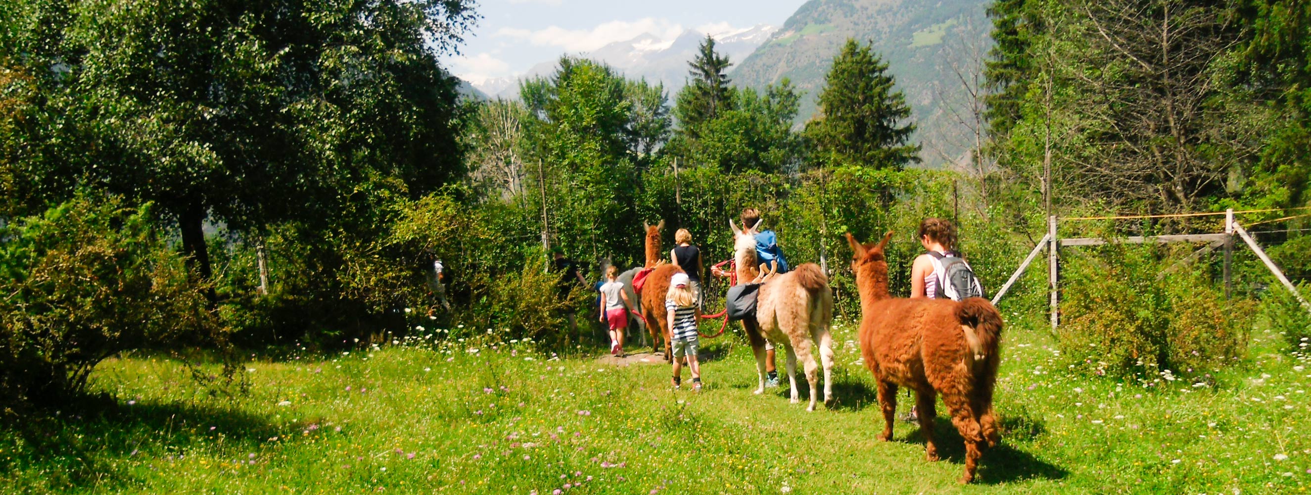 Gita famigliare con Lama